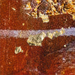 John Richard Mary Hong's Artists Splendor