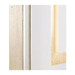 John Richard Decor Golden Botanicals I