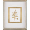 John Richard Decor Golden Botanicals I