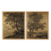 John Richard Grand Oaks Gold, Set of 2