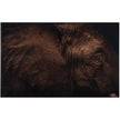 John Richard Decor Rodney Bursiel's All Ears