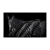 John Richard Decor Rodney Bursiel's Dazzle of Grevys