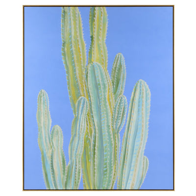 John Richard Michael Pfleghaar's Blue Myrtle Cactus No. 2