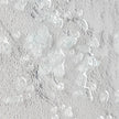 John Richard Mary Hong's White Coral