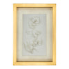 John Richard Porcelain Flora Wall Art IV