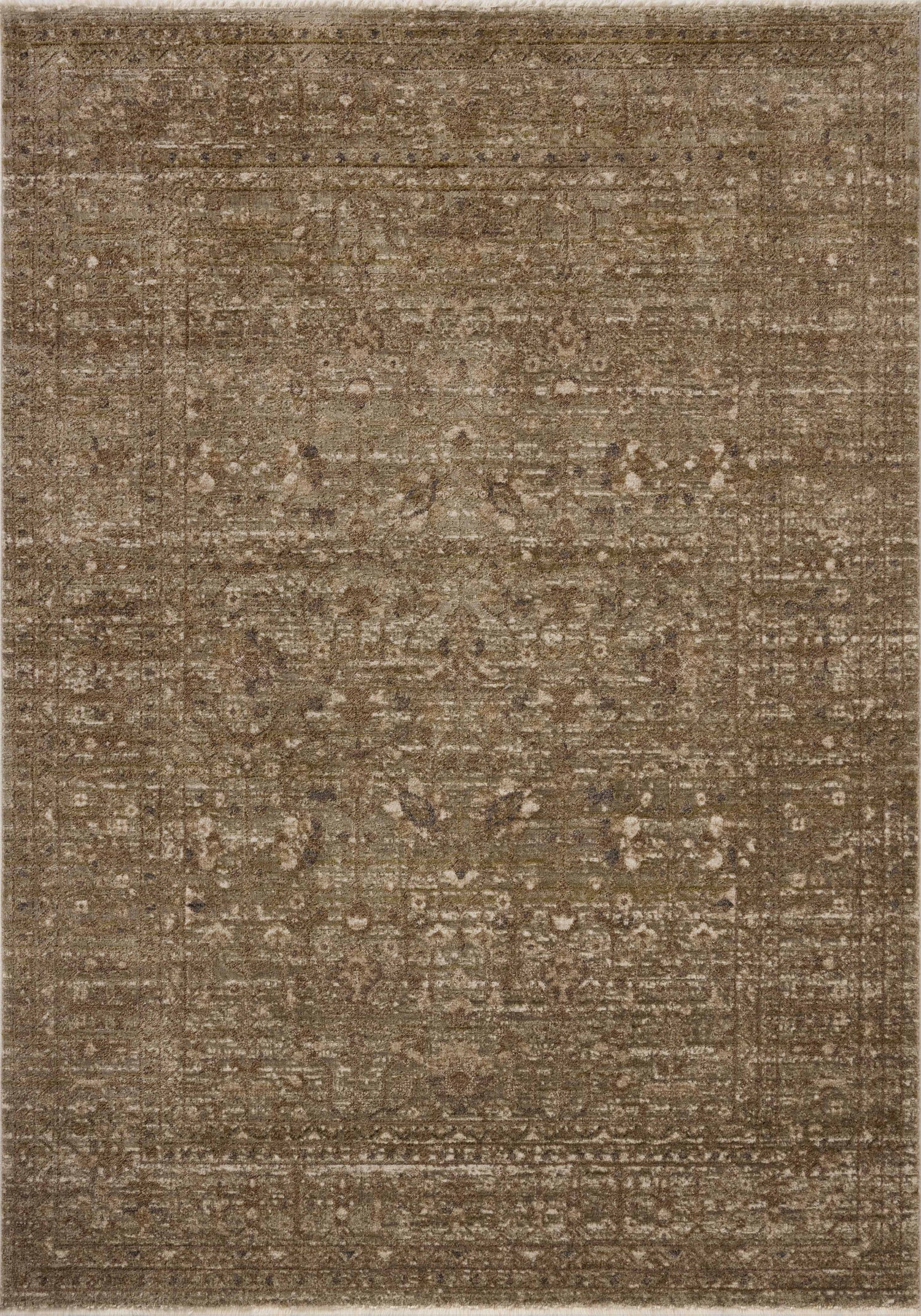 Loloi II HYD-01 Sage / Brown Rug DC10