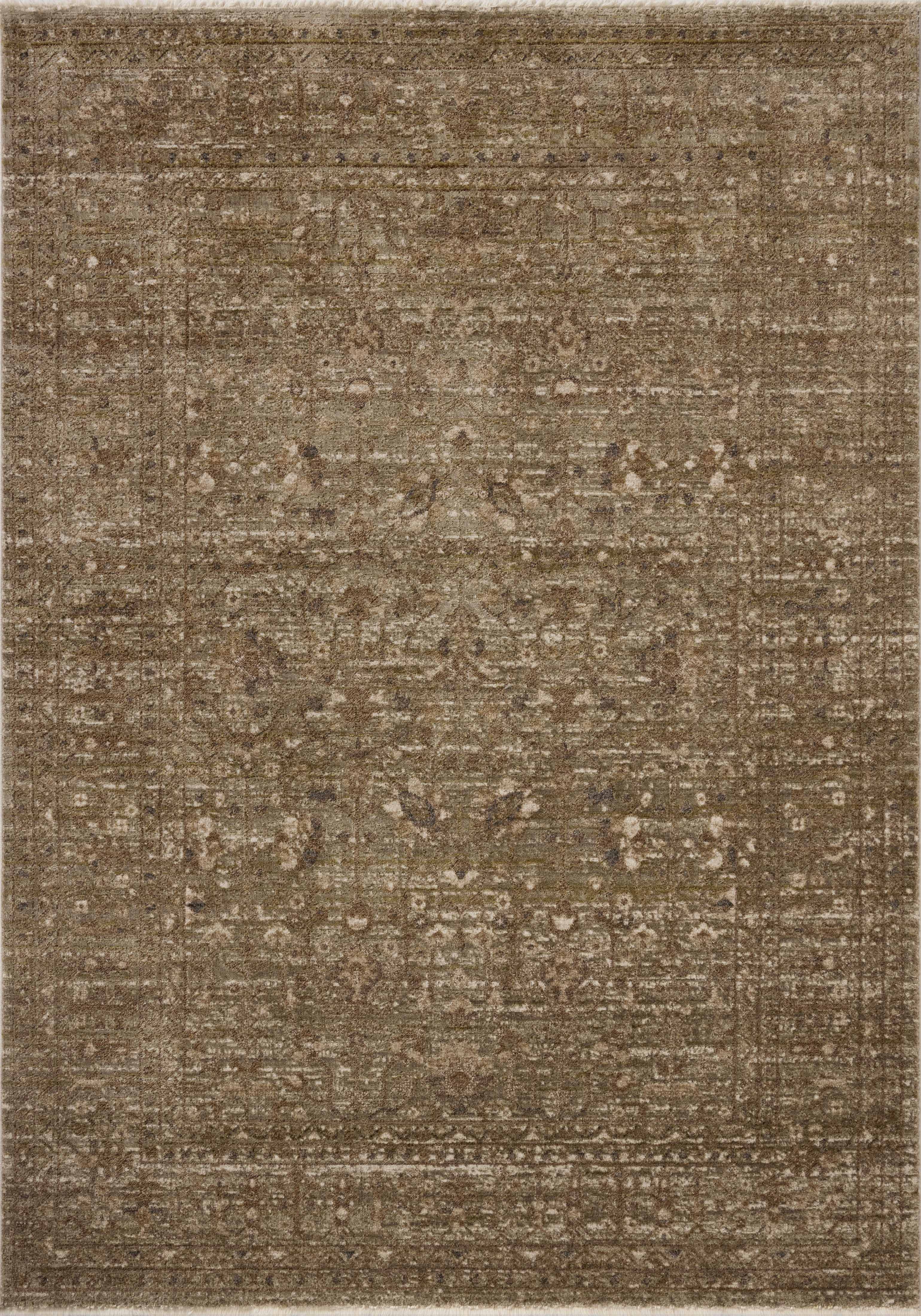 Loloi II HYD-01 Sage / Brown Rug DC10