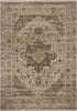 Loloi II HYD-03 Natural / Bark Rug DC10