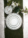 Haviland Illusion Bread and Butter Plate - Mint Platinum