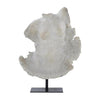 John Richard Decor Evolving Torso Sculpture I