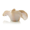 John Richard Flowing Porcelain Bowl