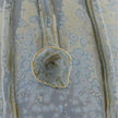 John Richard Porcelain Sprouts Vase