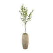 John Richard Decor Red Twig Dogwood