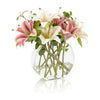 John Richard Decor Stargazer