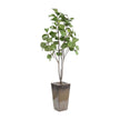 John Richard Decor Mossey Green Fig Tree