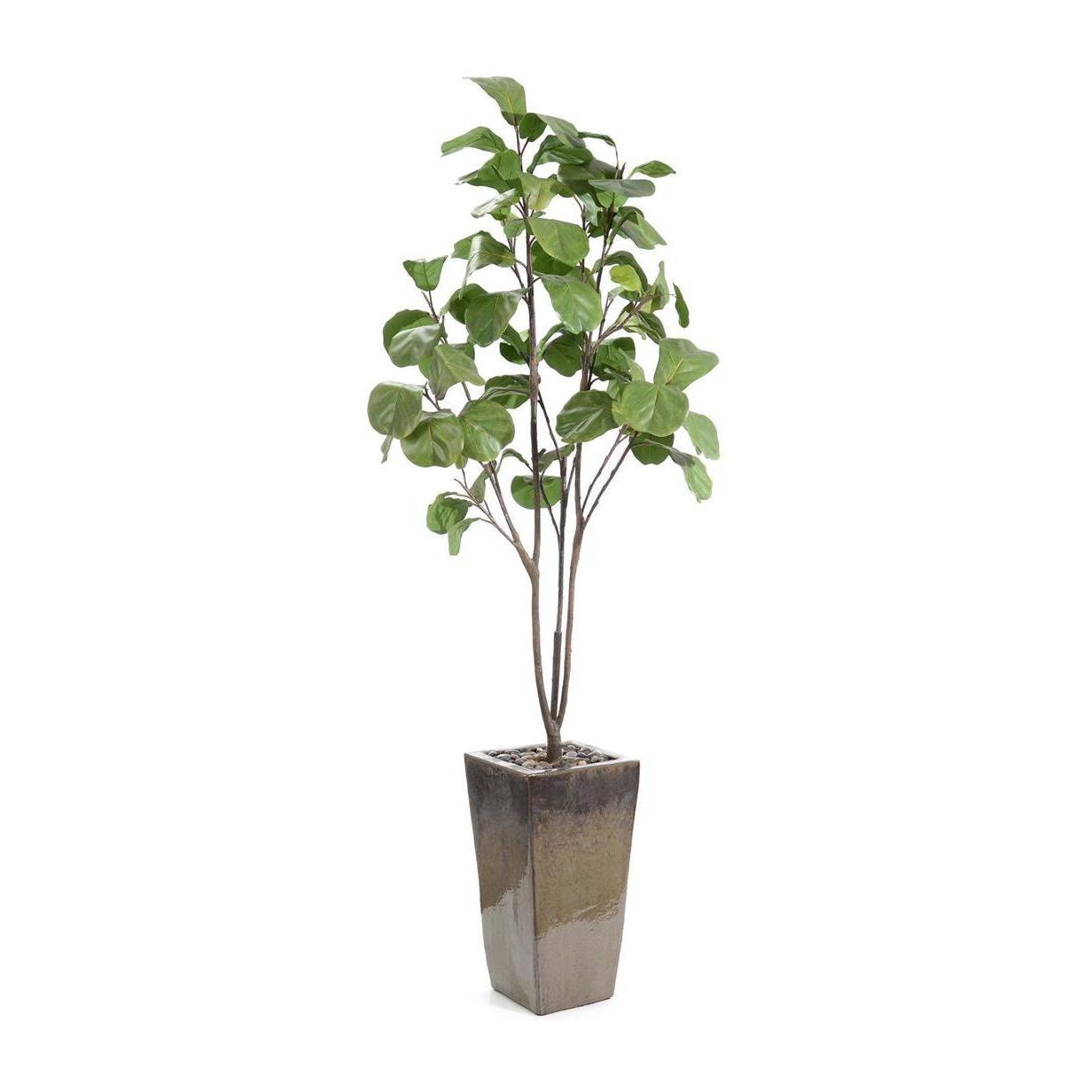 John Richard Decor Mossey Green Fig Tree