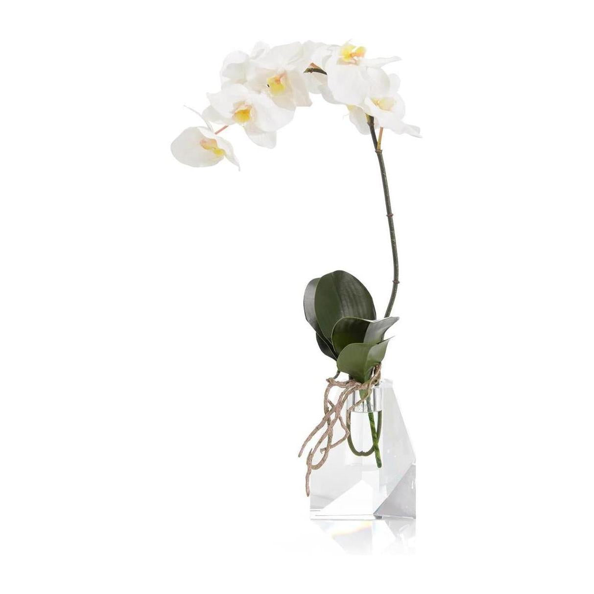 John Richard Decor Rock Crystal Real Touch Orchid