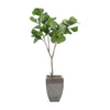 John Richard Decor Rocky Fig Tree
