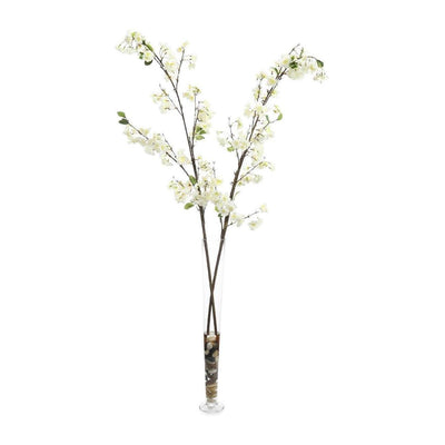 John Richard Decor Cream Cherry Blossoms
