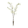 John Richard Decor Cream Cherry Blossoms