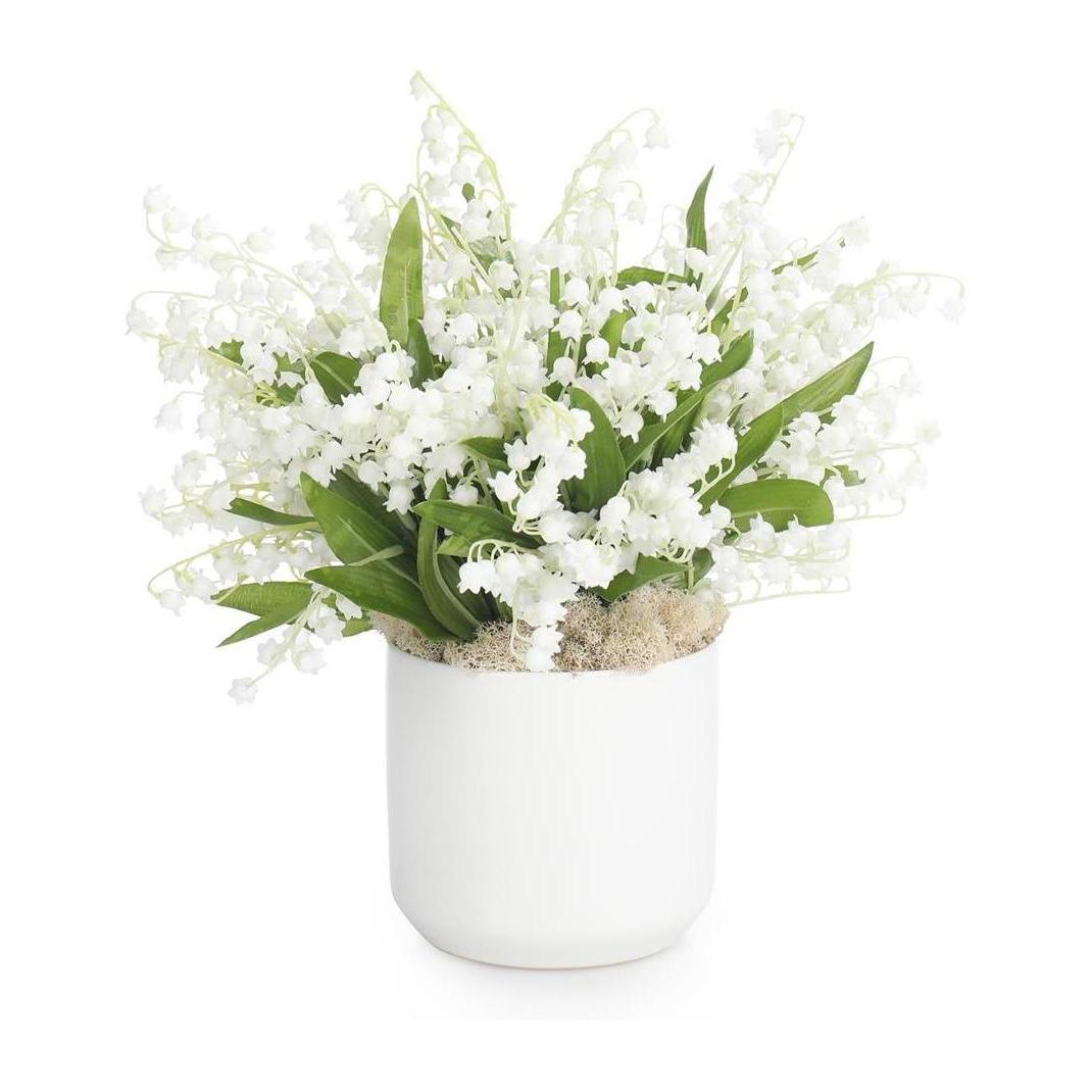 John Richard Lily of the Valley