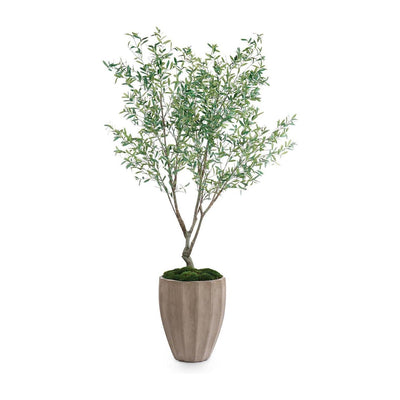 John Richard Decor Tuscan Olive
