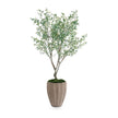 John Richard Decor Tuscan Olive
