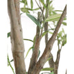 John Richard Decor Tuscan Olive