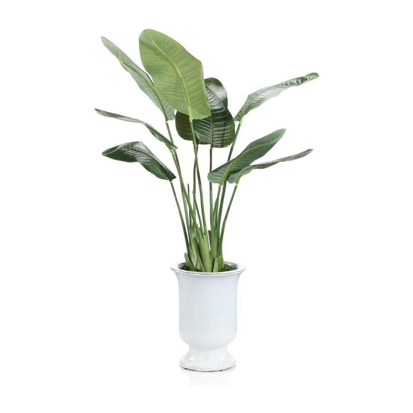 John Richard Decor Island Bird of Paradise