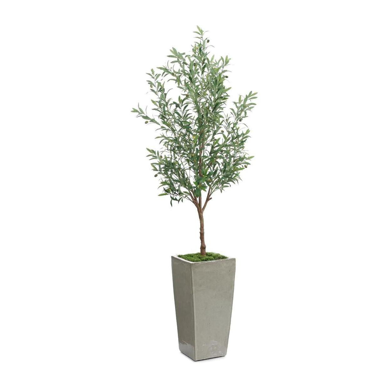 John Richard Decor Garden Olive