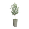 John Richard Decor Garden Olive
