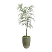John Richard Decor Southern Willow