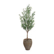 John Richard Decor Italian Olive