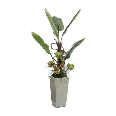 John Richard Decor Tropical Vibes
