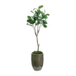 John Richard Decor Mossy Green Fiddle Leaf Fig
