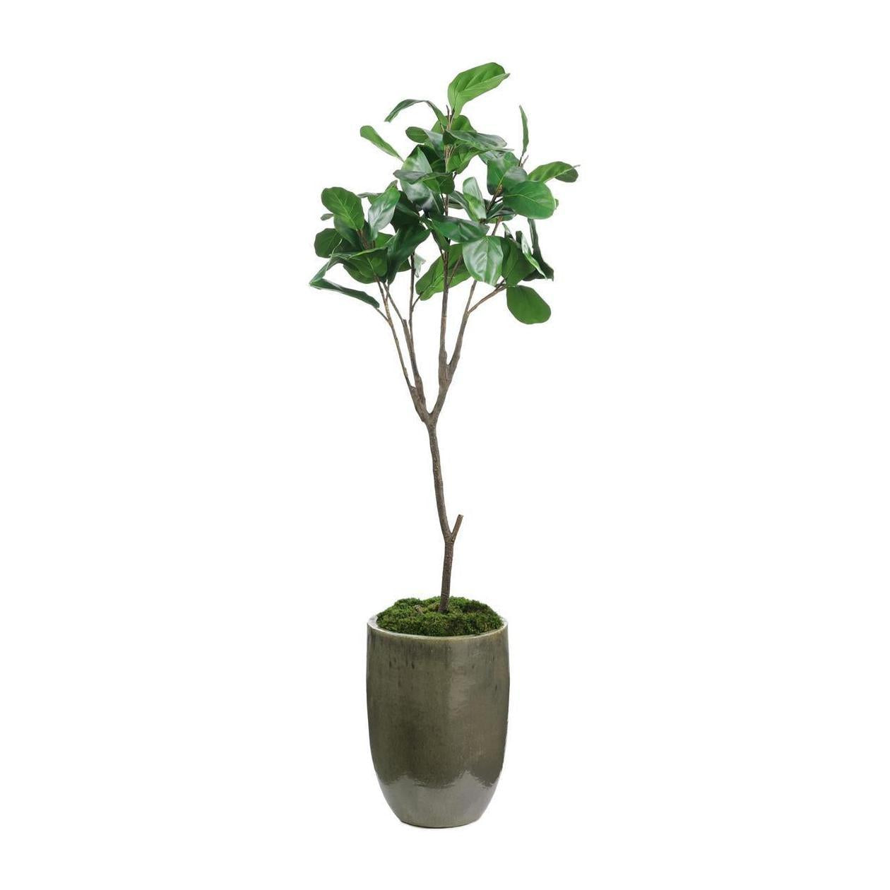 John Richard Decor Mossy Green Fiddle Leaf Fig