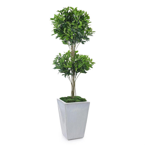 John Richard Double Pom Topiary
