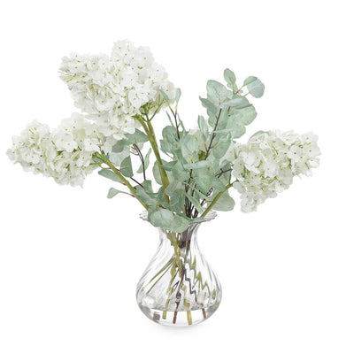 John Richard Snow Queen Hydrangeas