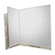 John Richard Quinn Mirror