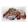 John Richard Tony Fey's Exotic Plumage Wall Art