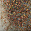 John Richard Teng Fei's Scattered To The Wind Wall Art