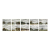 John Richard Tony Fey's Nature Walk, Set of 10 A-J Wall Art