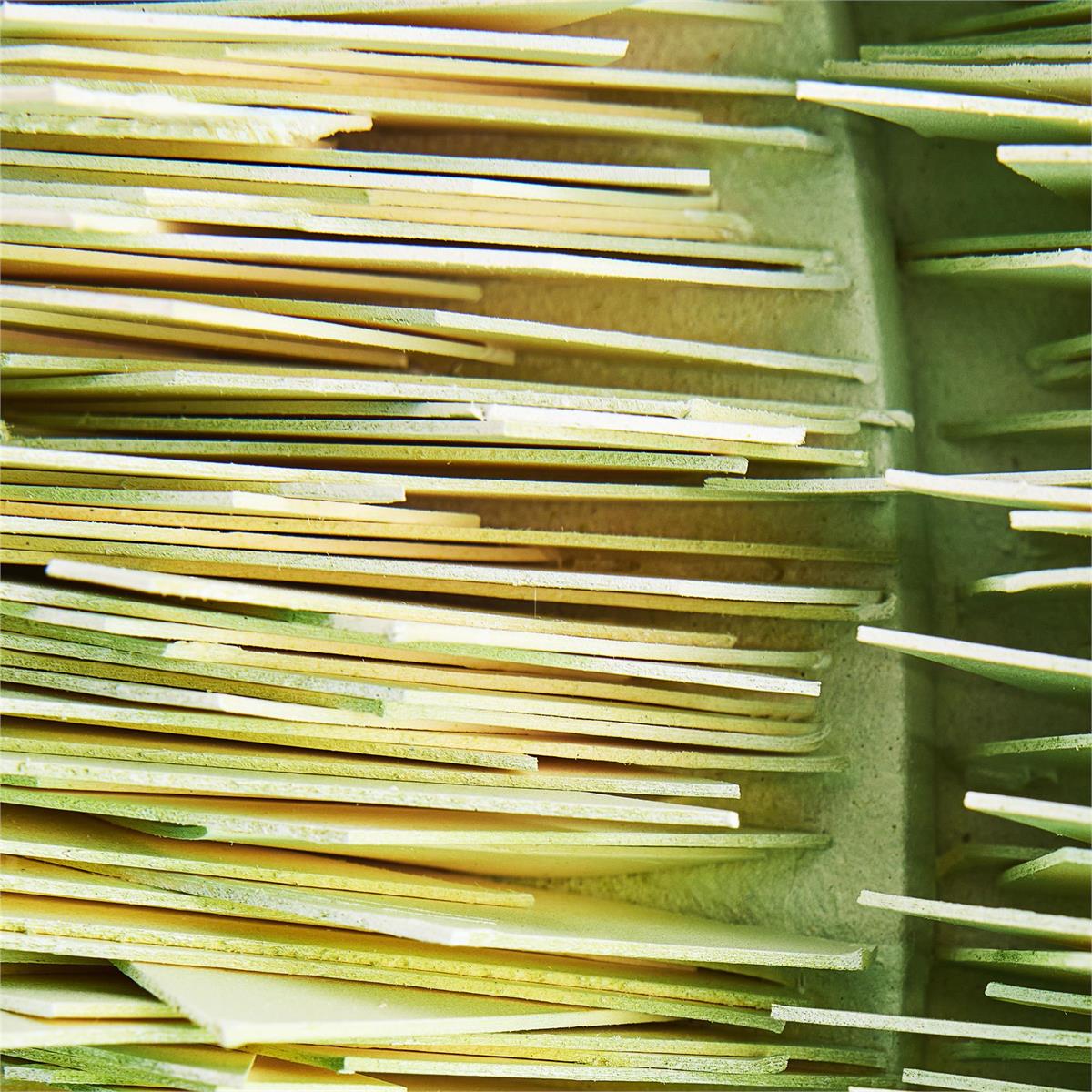 John Richard Tony Fey's Rejuvenation