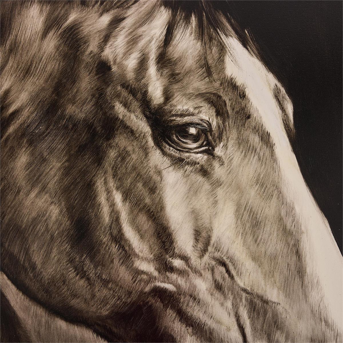 John Richard LM Zhou's Noble Equine