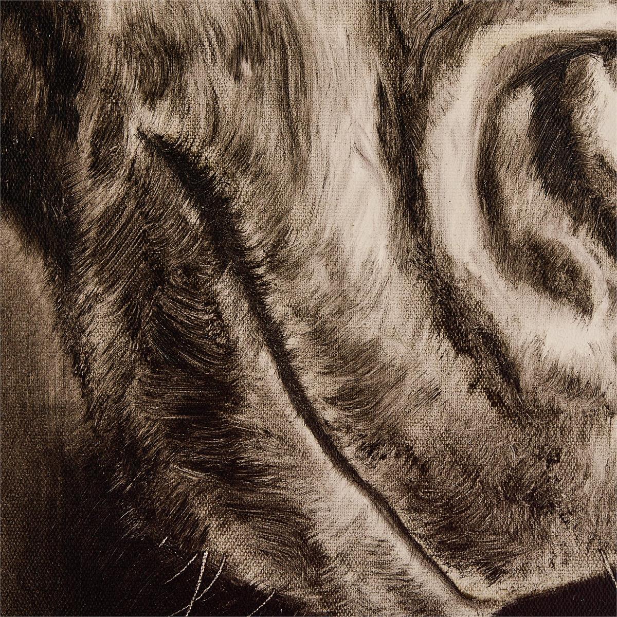 John Richard LM Zhou's Noble Equine