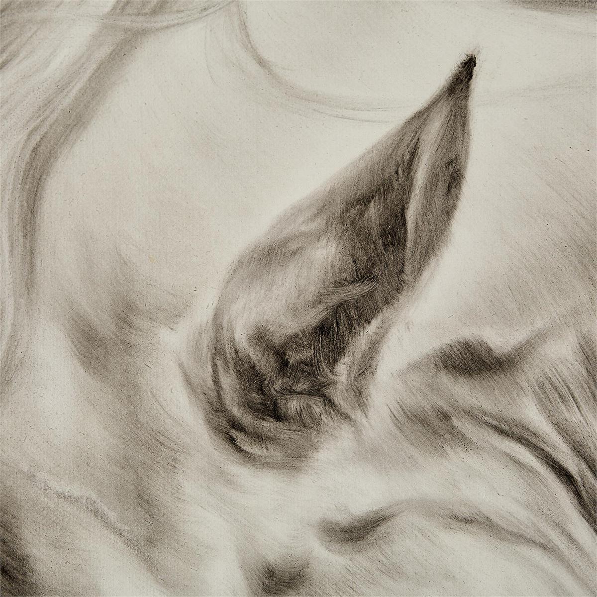 John Richard LM Zhou's Surging Equine