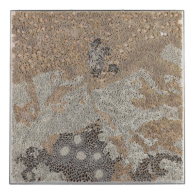 John Richard Tony Fey's Shifting Sands