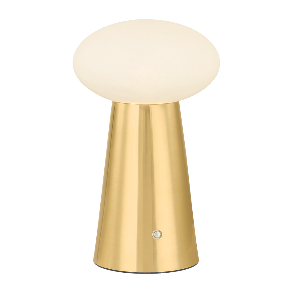 Hudson Valley Lighting Cashel 3 watt Aged Brass Rechargeable Table Lamp