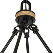 Uttermost Palm Royal 8 Light Indoor-Outdoor Chandelier