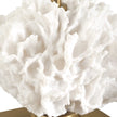 Uttermost Caronia Coral Buffet Lamp